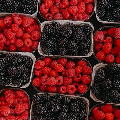 安卓Clash完全指南：从零开始掌握代理配置的艺术