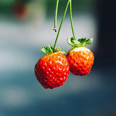 使用V2Ray提升《王者荣耀》游戏体验的全攻略